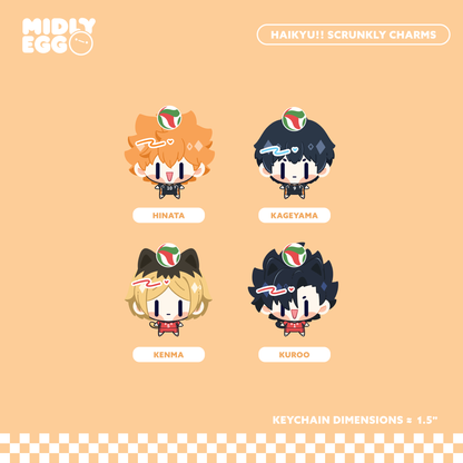 Haikyu Scrunkly Charms